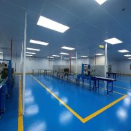 project-food-tranz-1