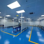 project-food-tranz-2